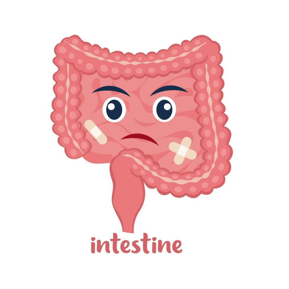 Sick intestine with pain ache or disease. Sad cartoon character intestine, body organ injured or unhealthy. Human cartoon anatomy, kids medicine. Vector illustration.