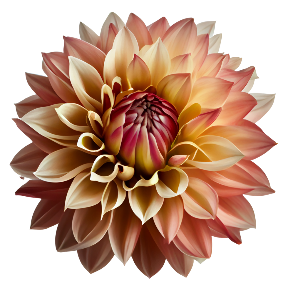 dahlia, transparent arrière-plan, génératif ai, dahlia fleur png