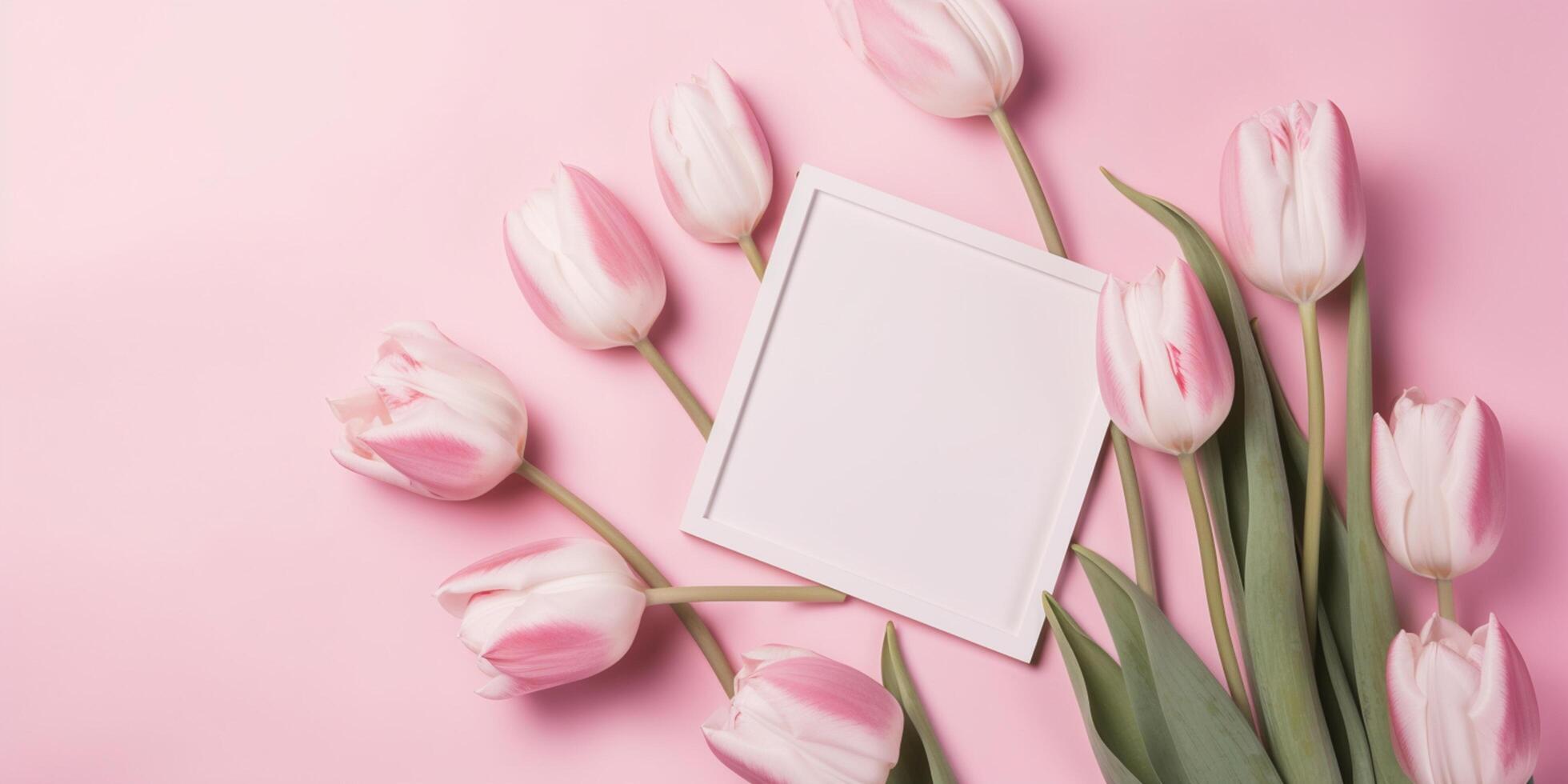 Empty white picture frame with pink tulips on a pink background photo