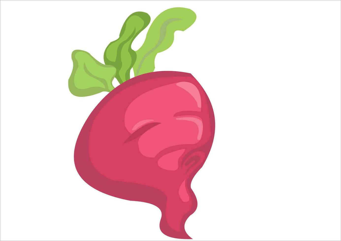 vector illustration of red radish fruit