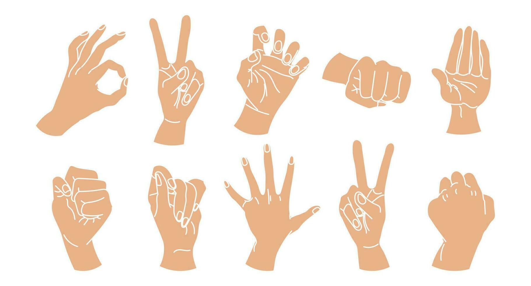 Set of drawn human hands. A set of hands in a collection of various gestures. illustration, vector