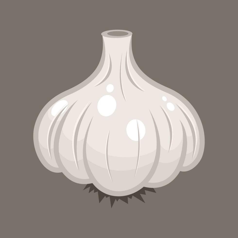 Garlic Onion, Isolated Background. vector