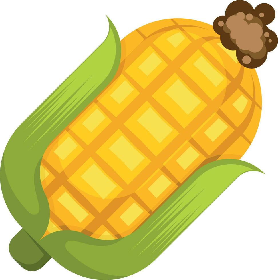 Corn Vector Icon, Isolated Background.