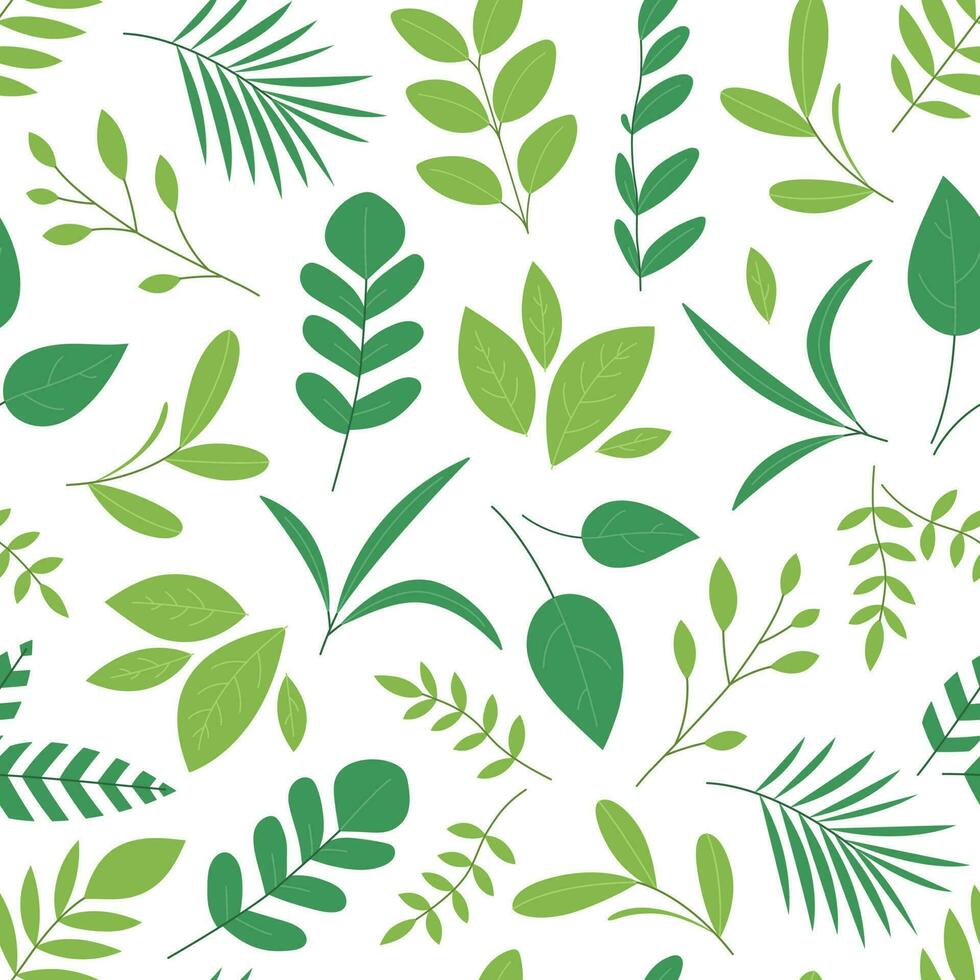 Seamless pattern with leaves and branches. Floral background with different green foliage and plants. Botanical texture. Vector flat illustration on white