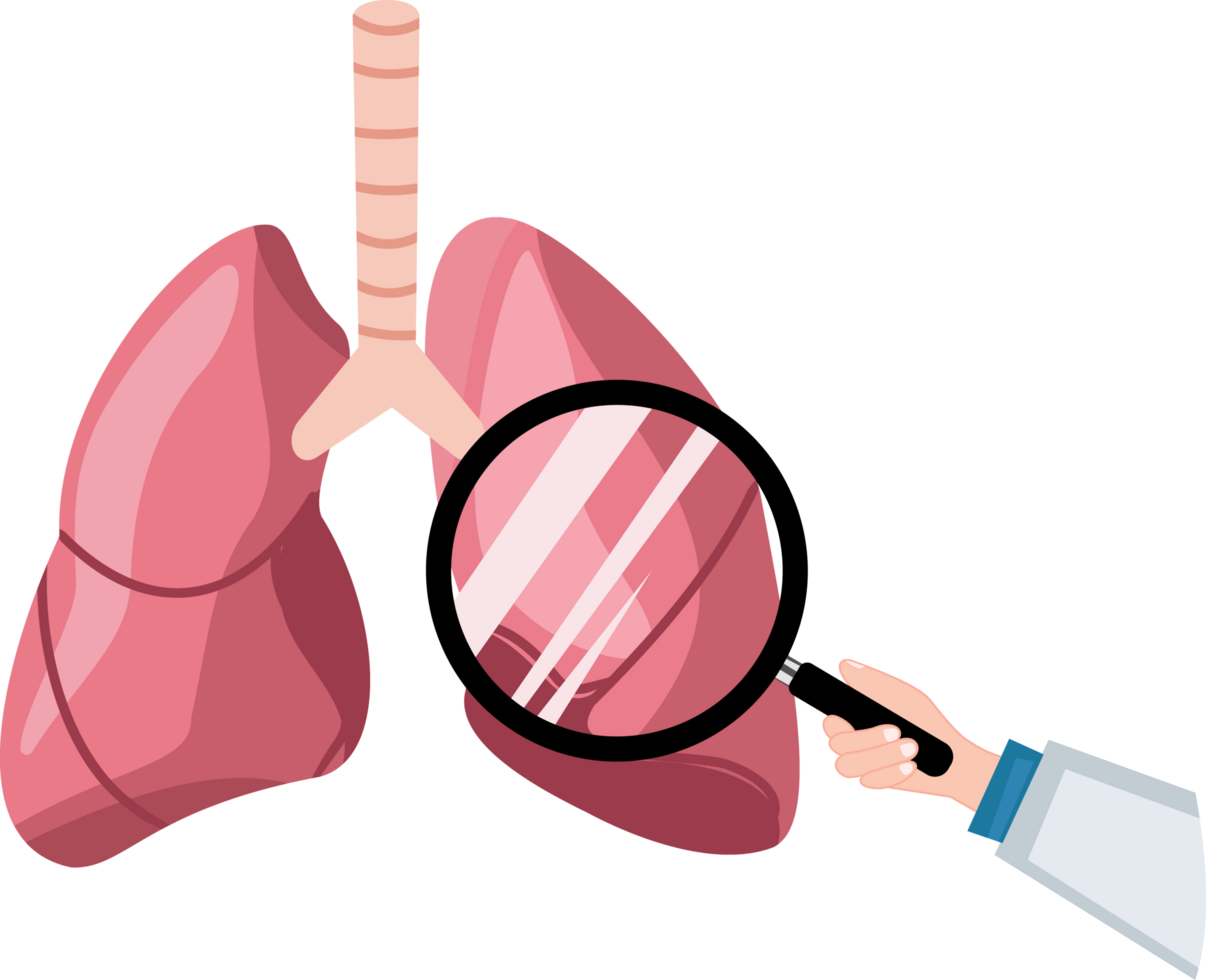 illustration de une médecin examiner le poumons en utilisant une grossissant verre. poumon examen png