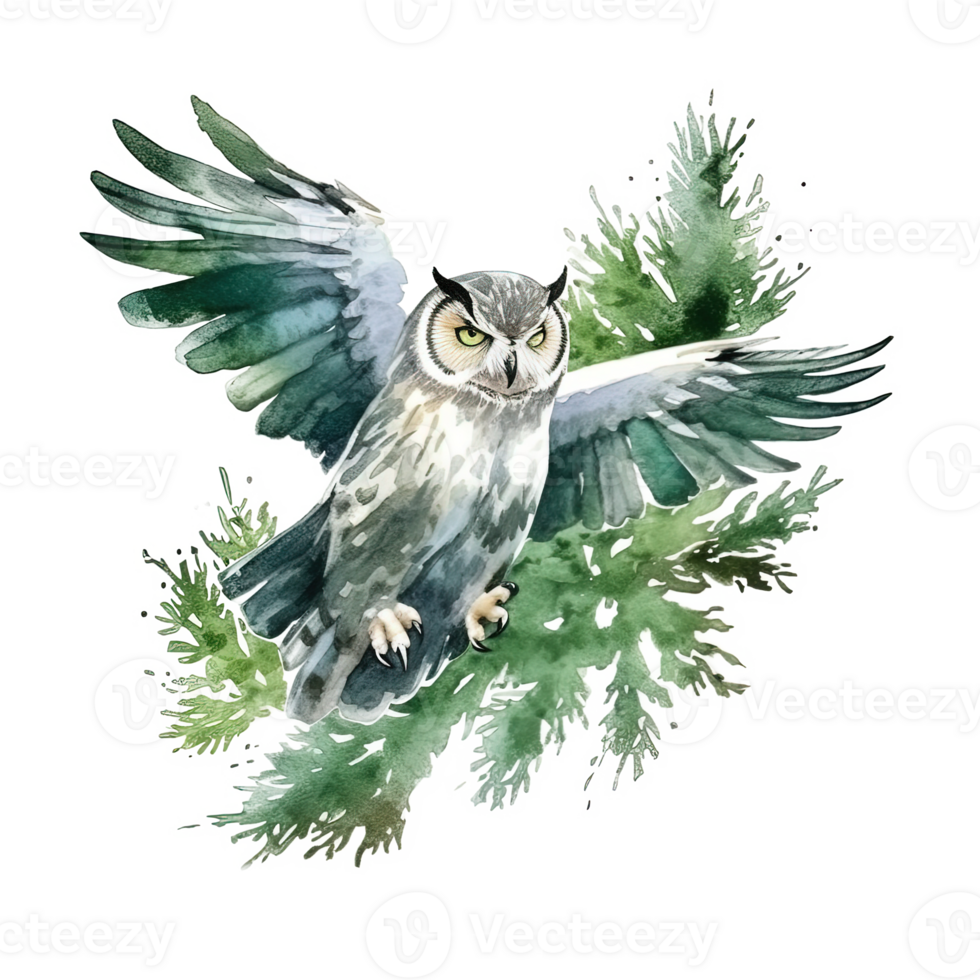 Green watercolor owl. Illustration png