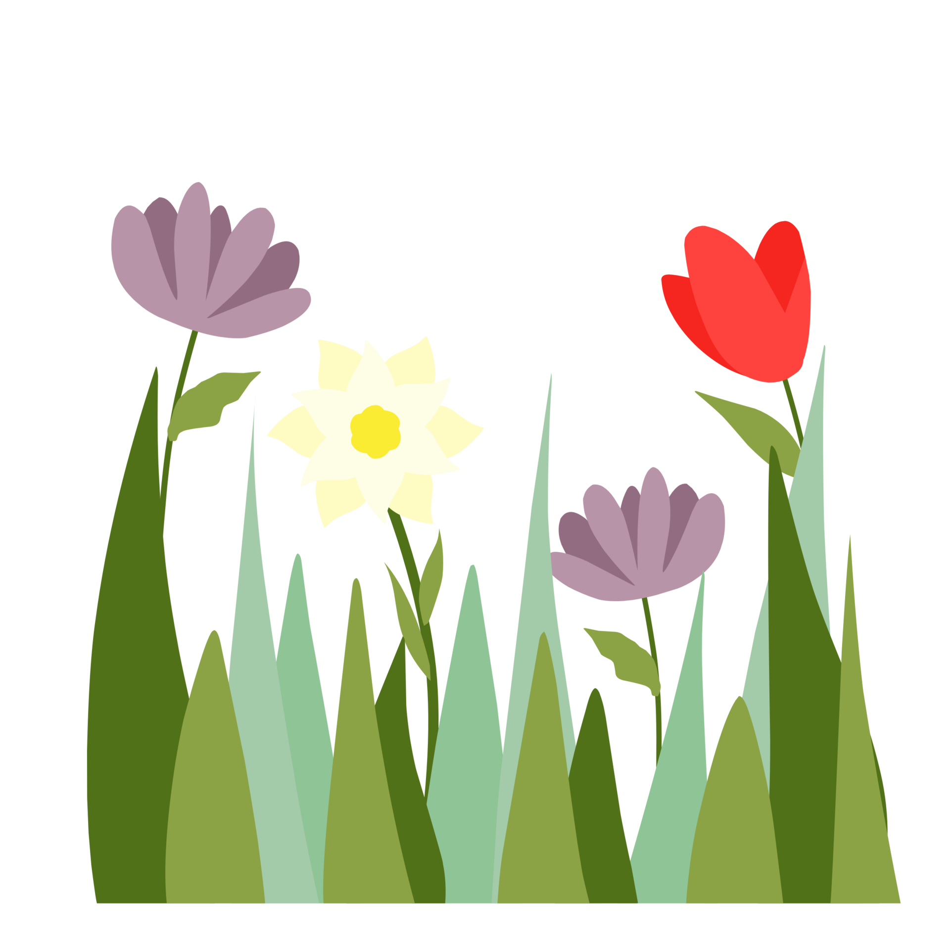 Flowers Garden For Decorations 24073850 PNG