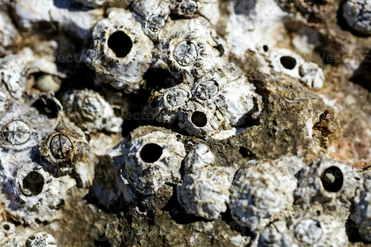 mar rocas cerca arriba naturaleza antecedentes alto calidad metal huellas dactilares verano estado animico explorador playa lugares en creta isla increíble sentimientos hogar decoración foto