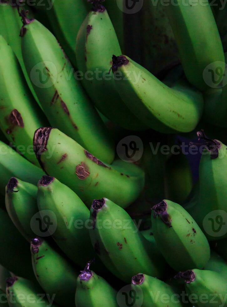 Close up view of green banana or Musa acuminata photo