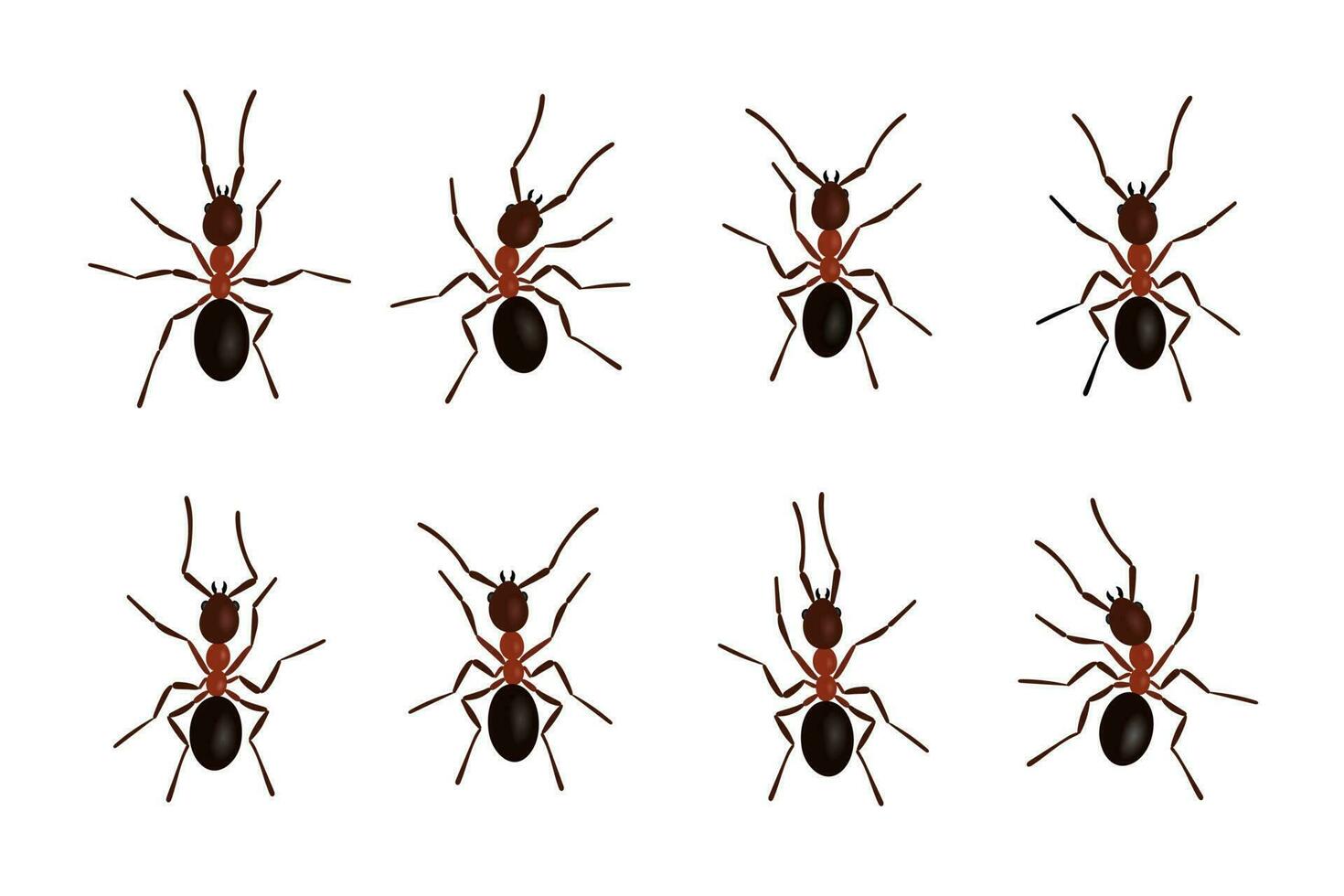 Brown ant insects black silhouettes vector illustration isolated on white background.