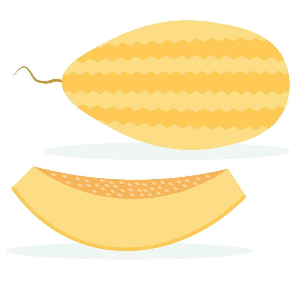 Whole melon and slice on a white background vector