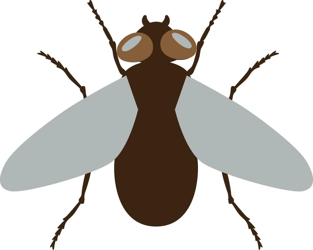 mosca marrón para decoración. vector