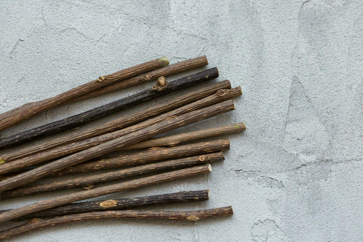 Natural catnip sticks for cat molar cleaning photo