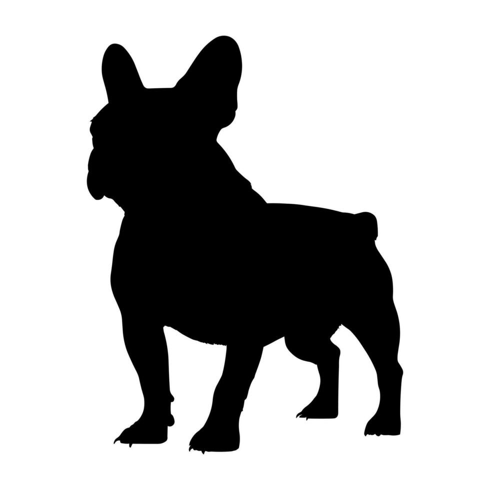 French bull dog silhouette isolated on a white background. Vector illustration