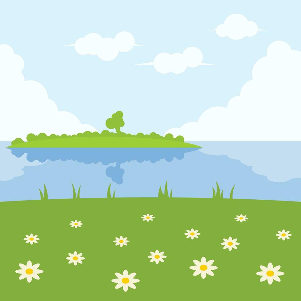 Chamomile Field, Isolated Background. vector