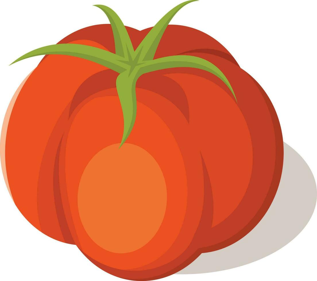 Red Tomato Fruit, Isolated Background. vector