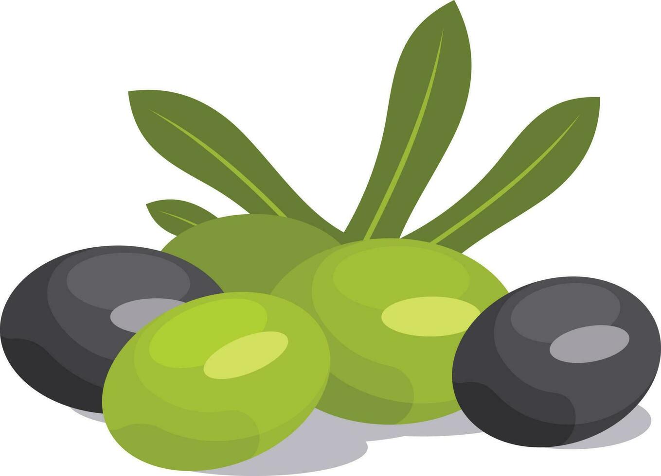 Green And Black Olives, Isolated Background. vector