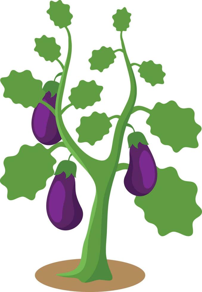 Eggplant Vector Clip Art, Isolated Background.