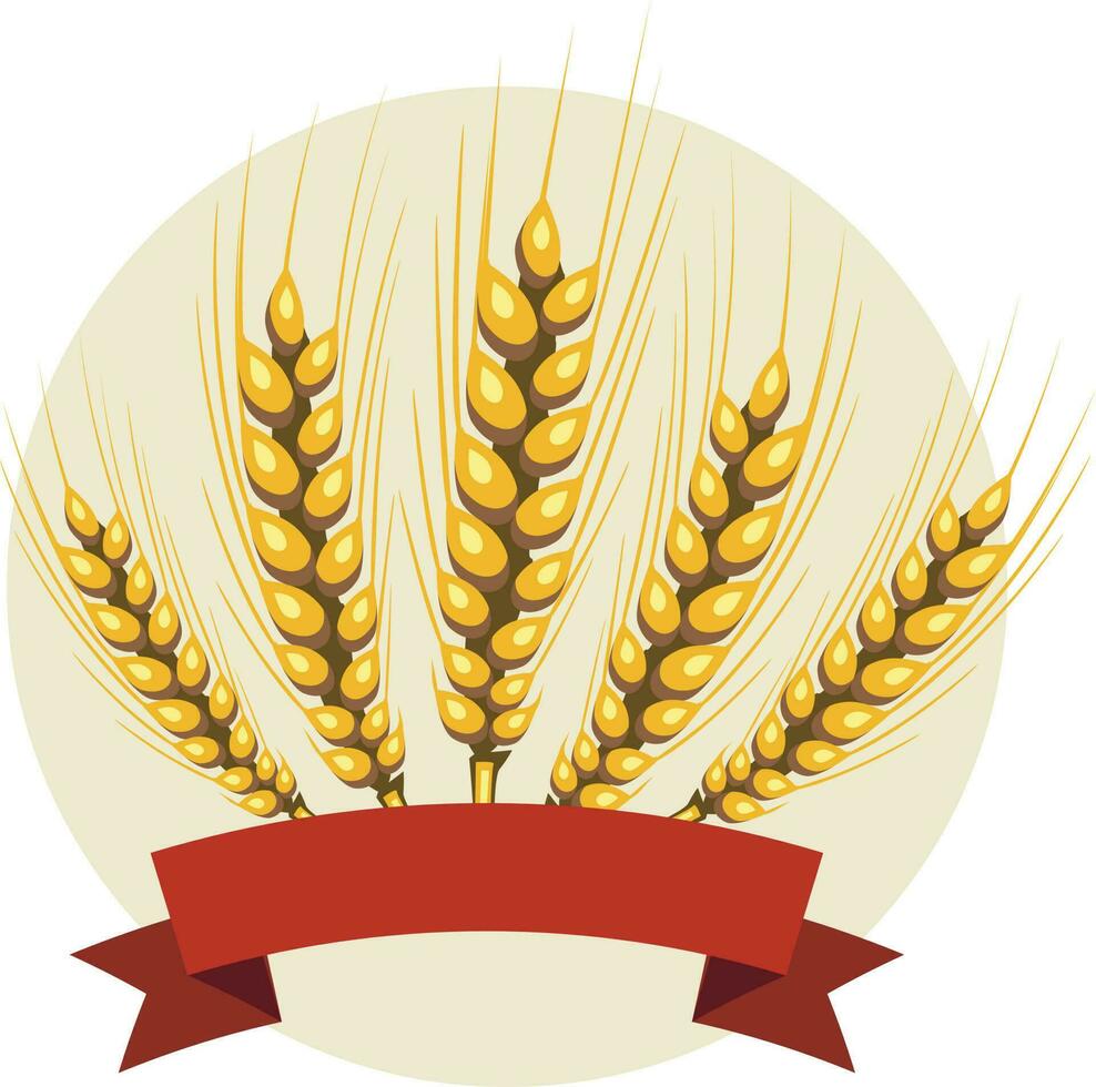 Barley, Isolated Background. vector