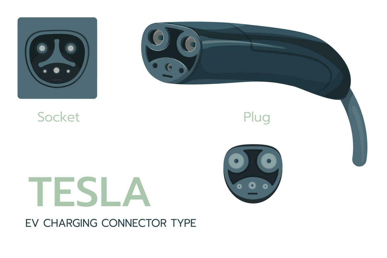 EV charging connector type, supercharger plug. Electric battery vehicle inlet charger detail. EV cable for AC power charge electricity.Ev charger plugs and charging sockets types. vector