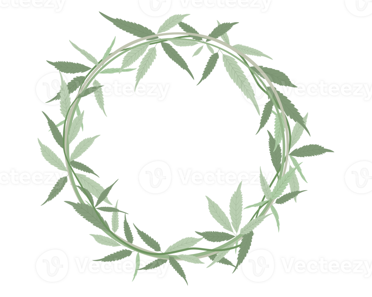 cannabis hemp leaves ornament or green floral frame png