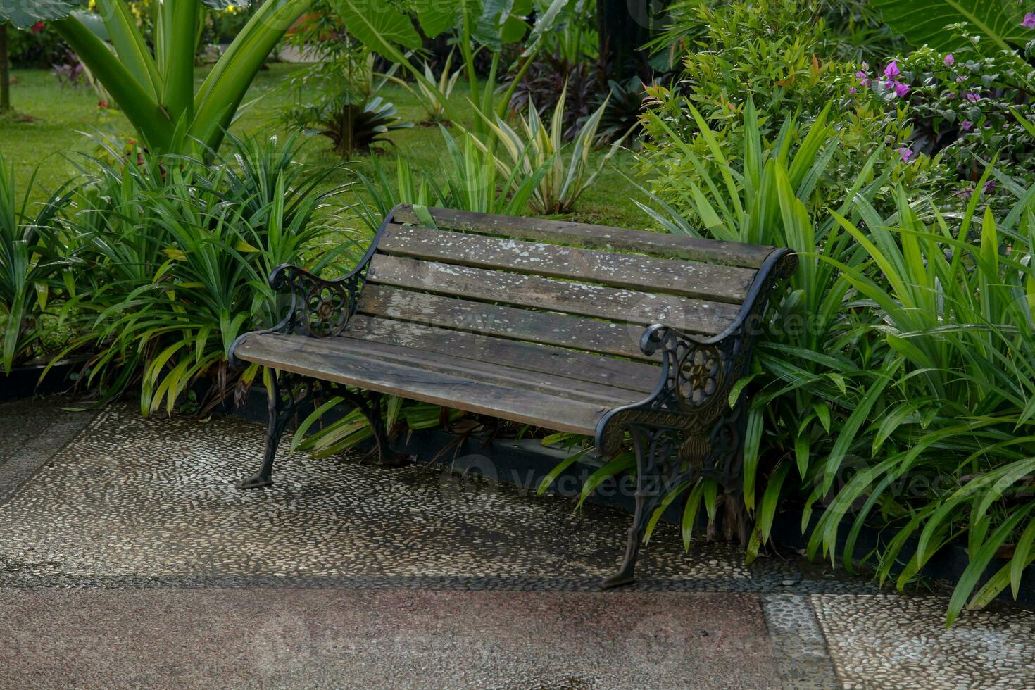 empty wooden bench in the park photo