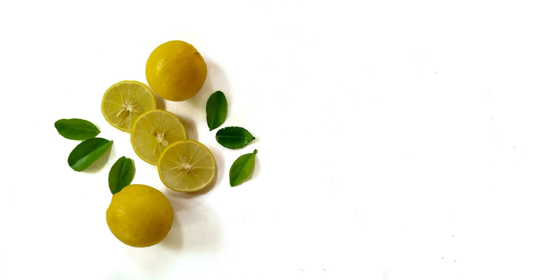 Fresh yellow lemon slice on a white background with green leaves, copy space concept. photo