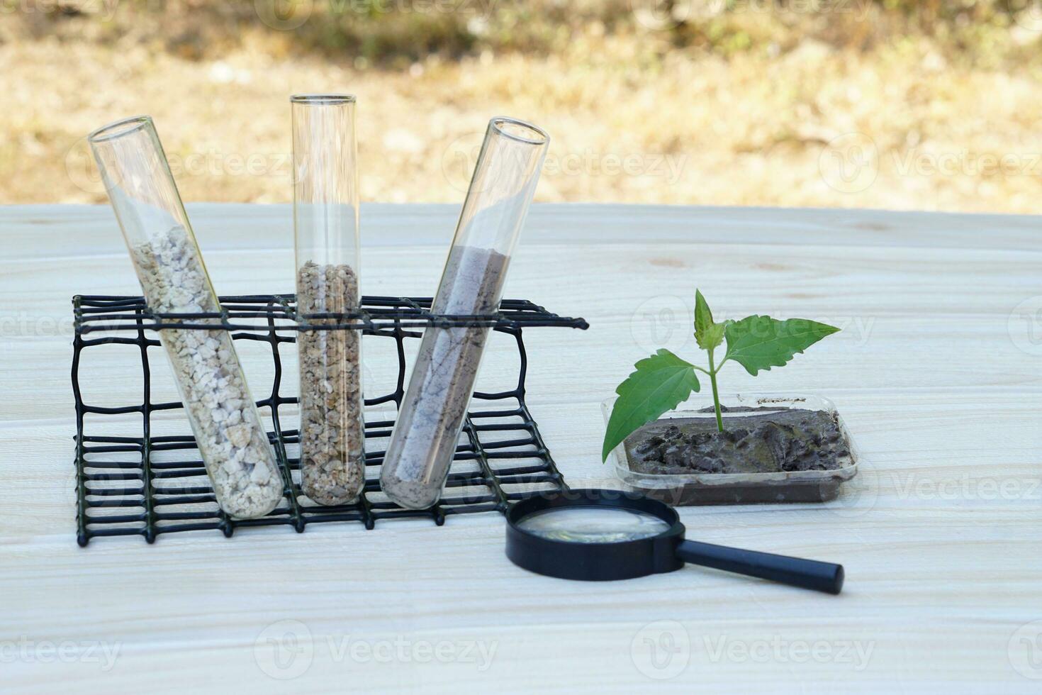 Test glass tubes that contain sample of different soil. Magnifying glass, sample plant.Concept, soil quality inspection, research, science experiment. Laboratory. Find the best from different sources. photo