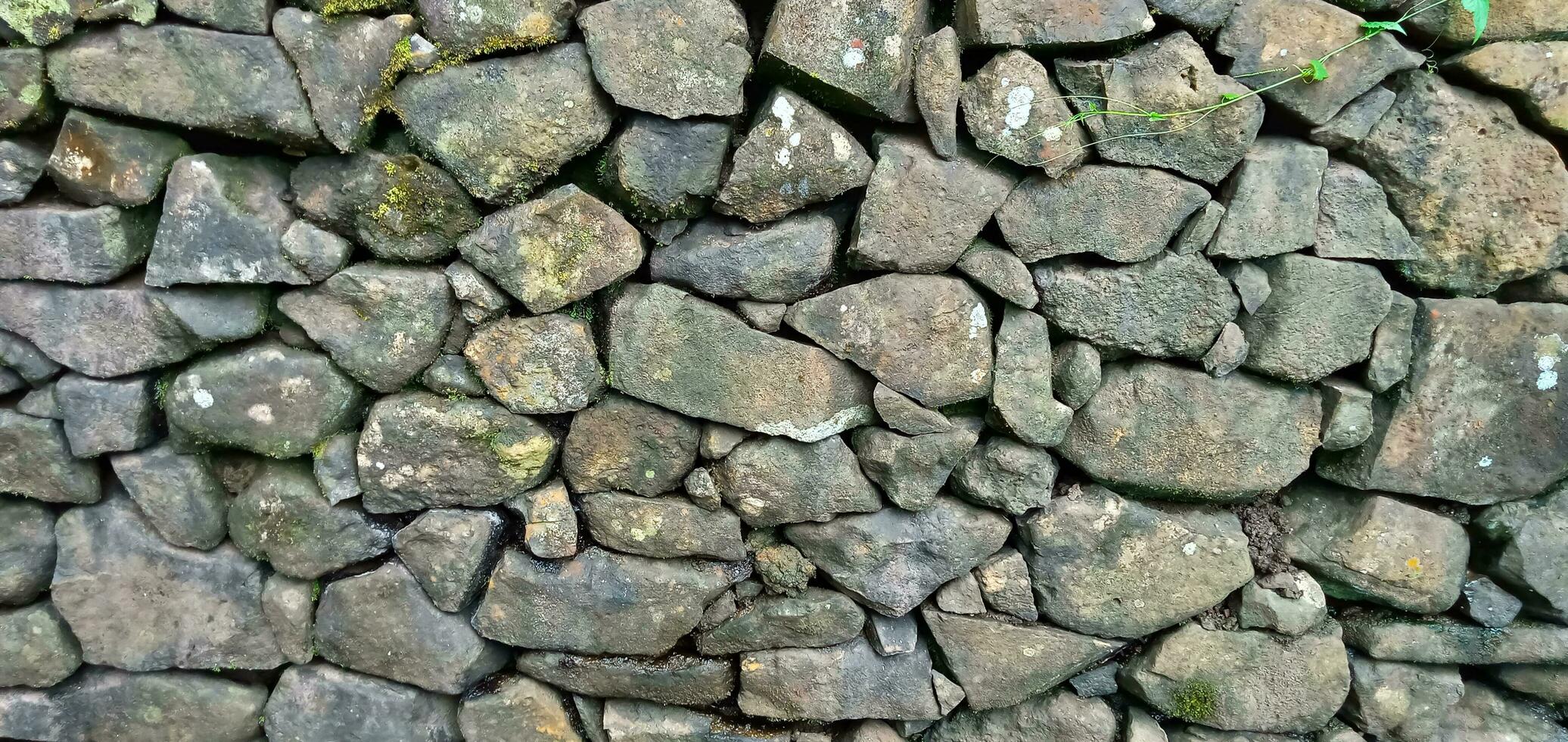 Roca paredes, antiguo Roca texturas, Roca vallas o pila de algo de rocas arreglado como un parapeto en el afueras de un verde bosque, Indonesia. foto