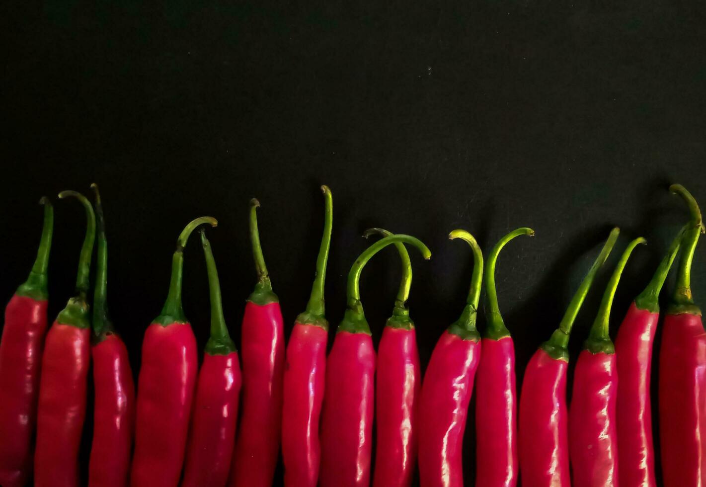 Fresh red chili on a black background as a background. photo