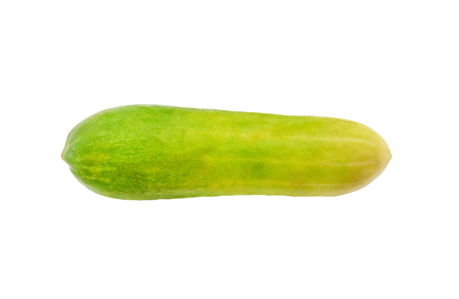 Fresh cucumber isolated on transparent background. Freshness vegetable, harvest and ingredients for cooking food. png with transparency