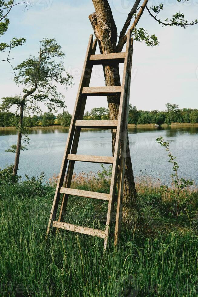 Wooden ladder at the lake photo