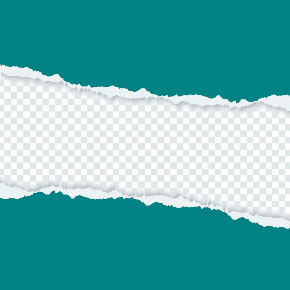 Horizontal torn paper edge vector