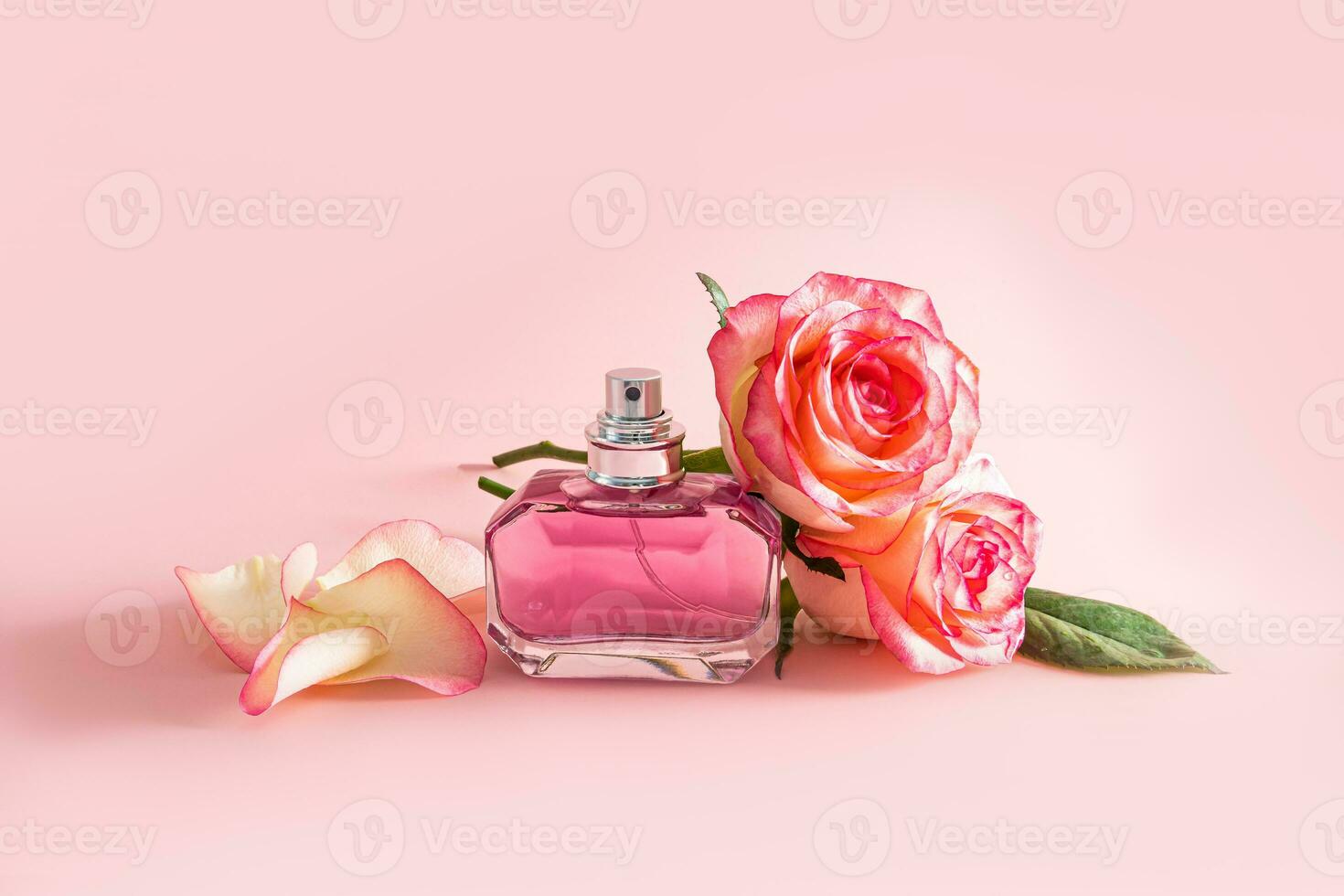 Crystal bottle with women's parfum or spray on a pink background with rose petals and flowers. Presentation of the fragrance. Blank bottle layout. photo