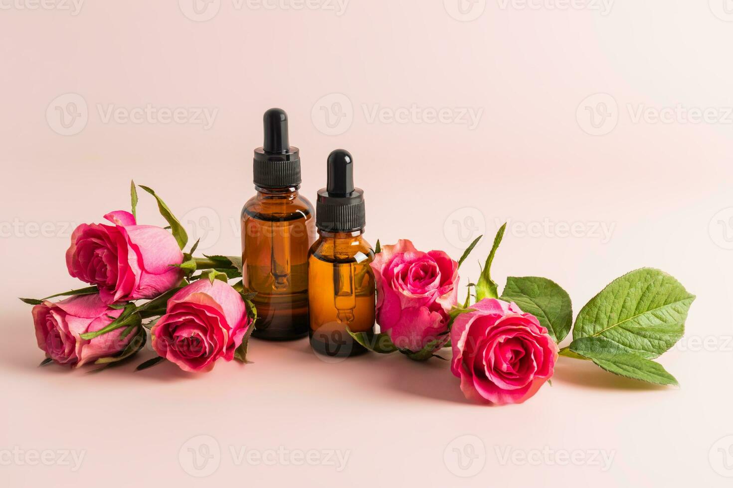 Two dark glass bottles with a pipette with a cosmetic product or serum for natural self-care among live roses. cosmetic empty packaging. photo