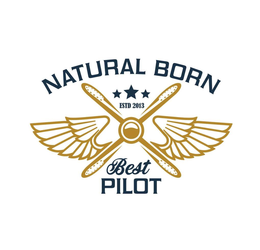 Airplane pilots crew icon, plane propeller, wings vector
