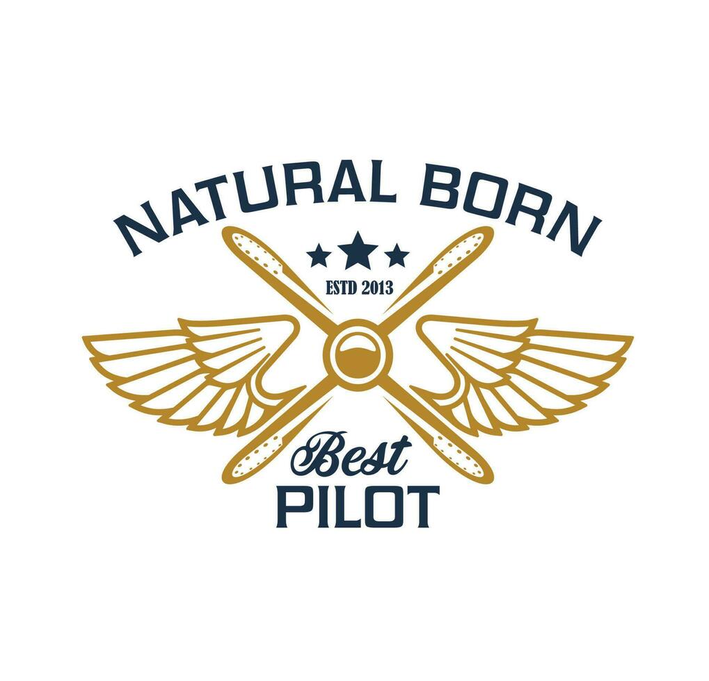 Airplane pilots crew icon, plane propeller, wings vector