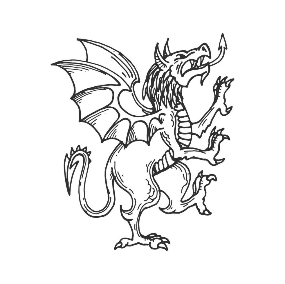 Heraldic Medieval dragon sketch, fantasy animal vector