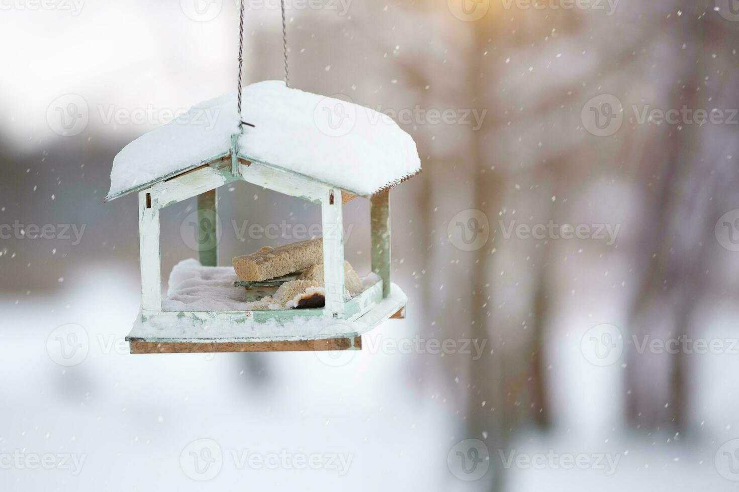 Bird feeder with slices of bread on the background of a winter landscape. photo