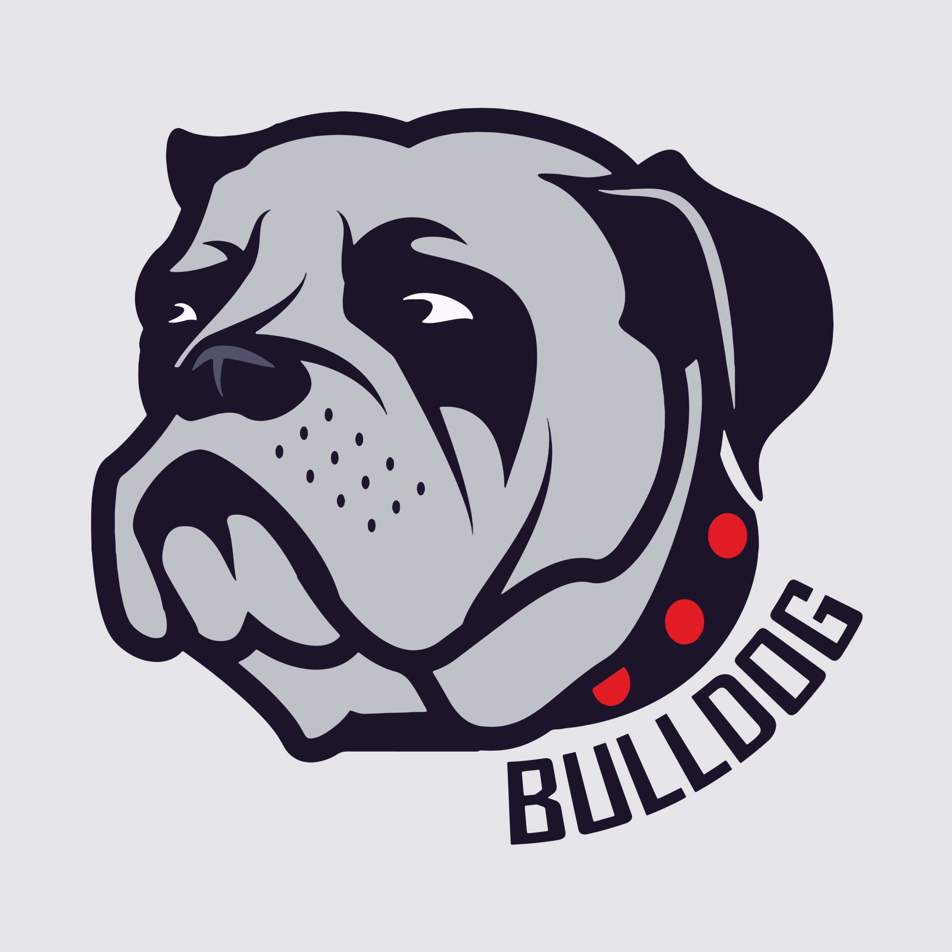 Bulldog Vector Art, Illustration and Graphic 24081895 Vector Art at