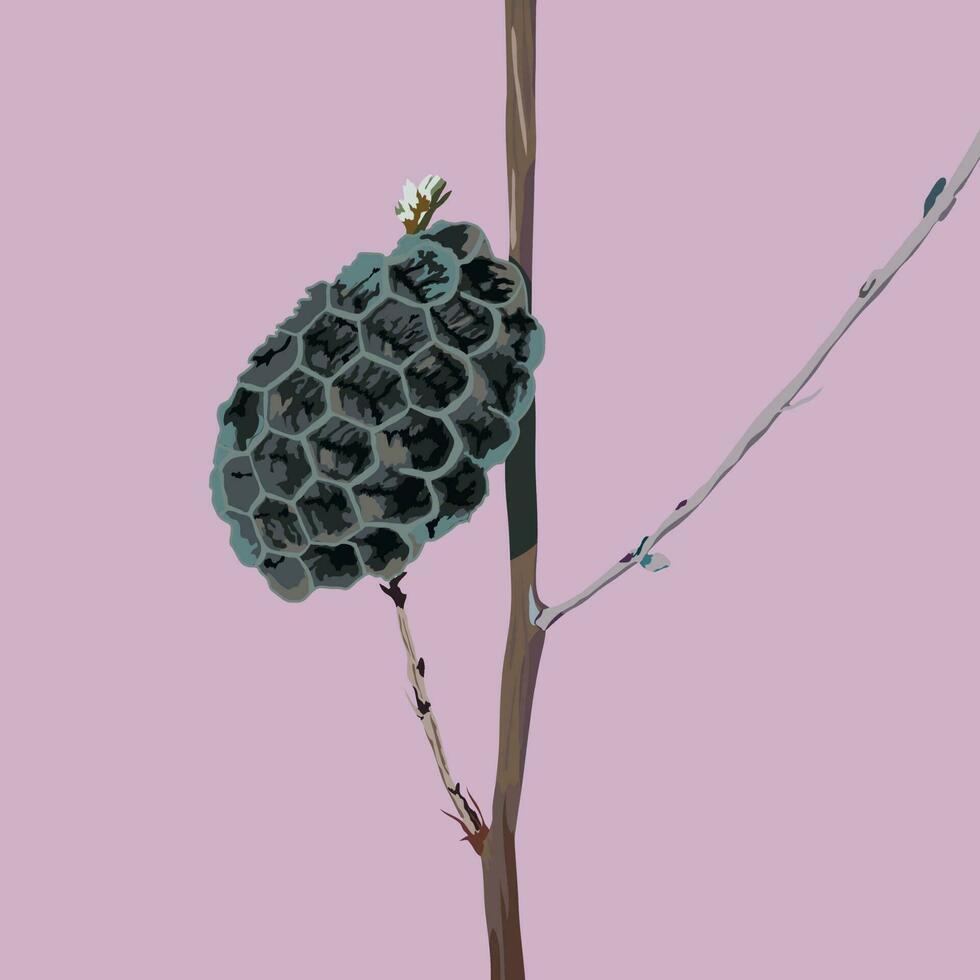 the house of an ordinary wasp, a honeycomb, on a twig vector