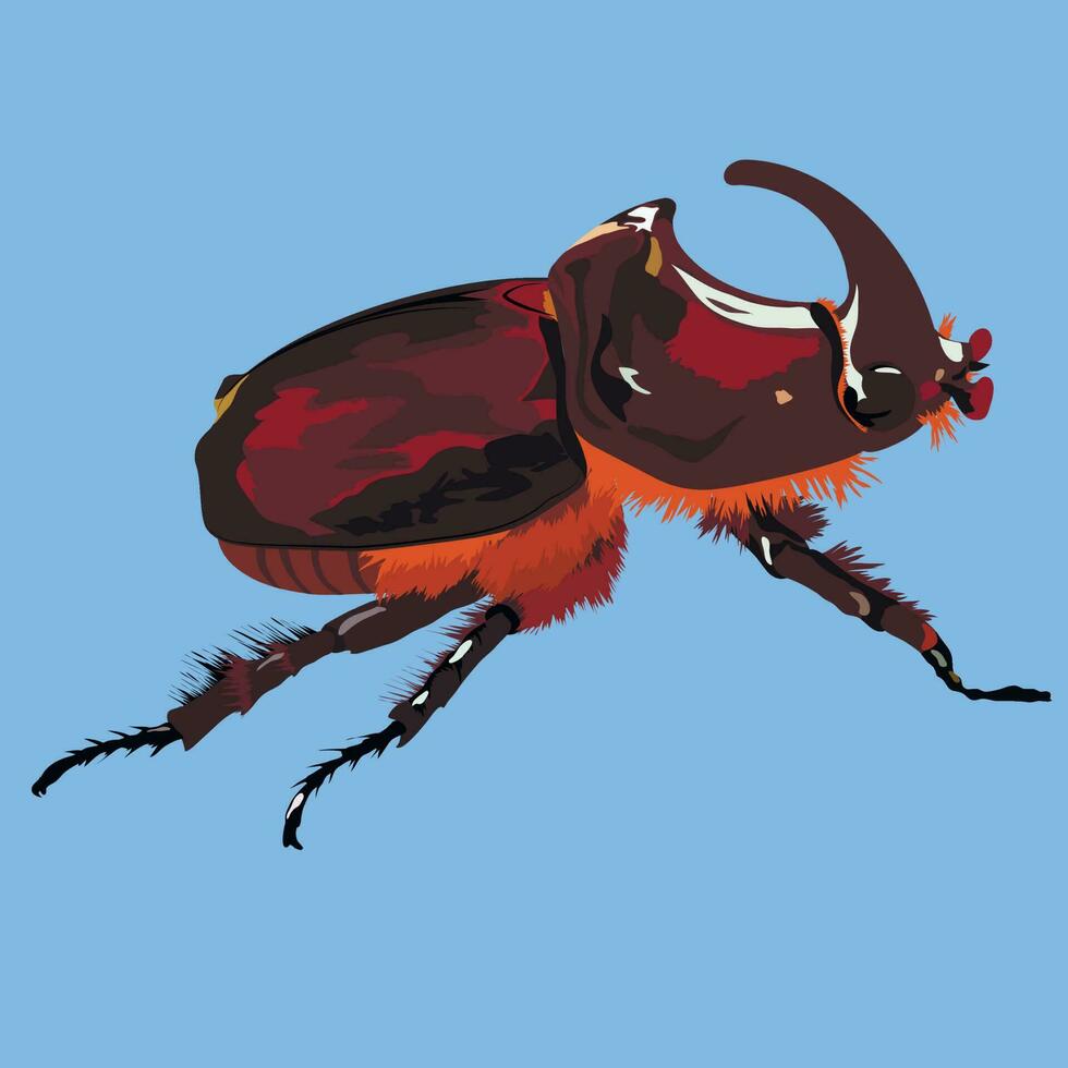 Rhinoceros beetle vector. Rhino beetle. red book beetle. Insects, a large brown insect. Vector illustration. rare insects.
