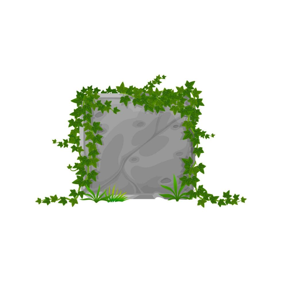 Stone board ivy leaves, cartoon climping hedera vector