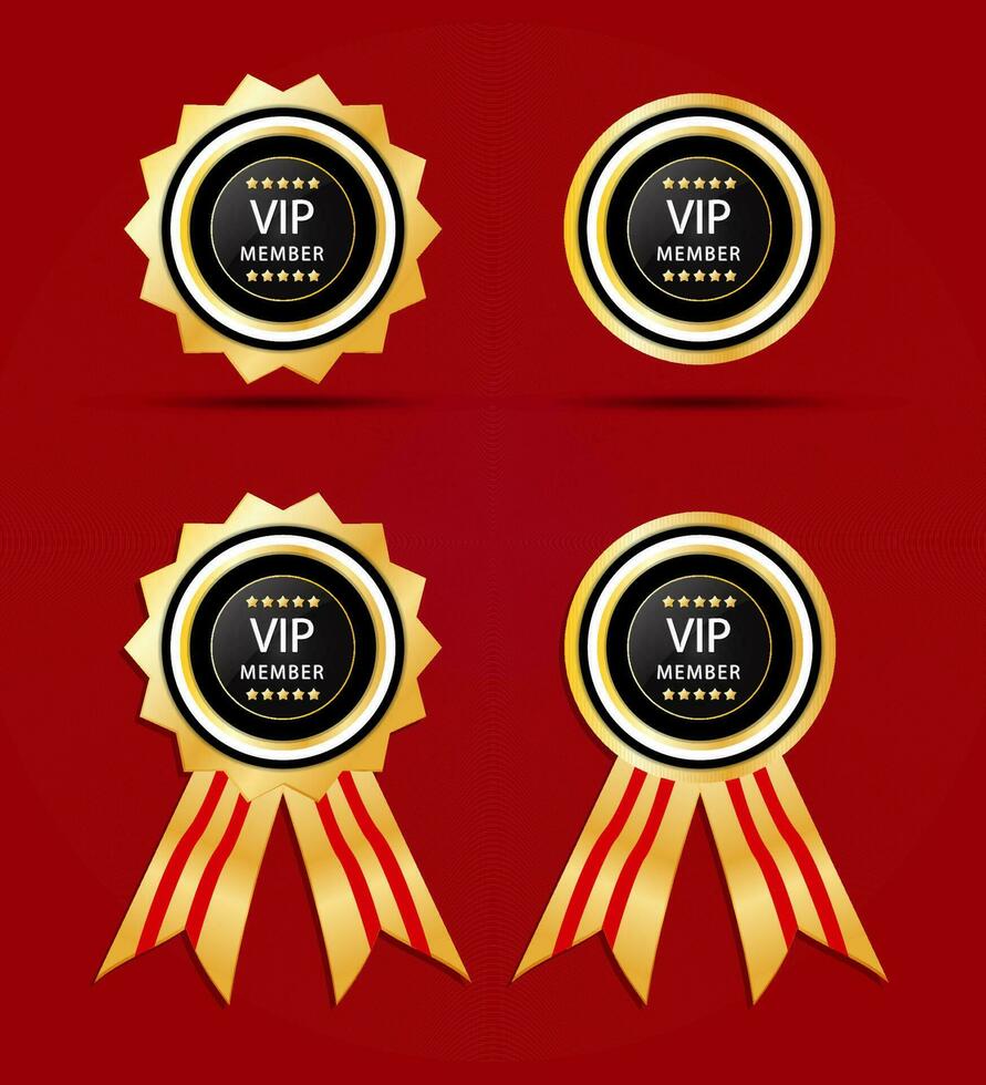 Vip Member button with gold star, luxury label certificate, glossy royal privilege badge for custome vector