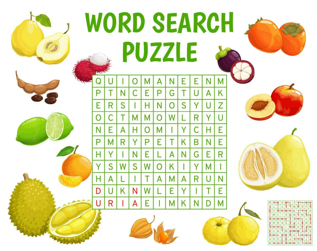 Cartoon tropical fruits word search puzzle game vector