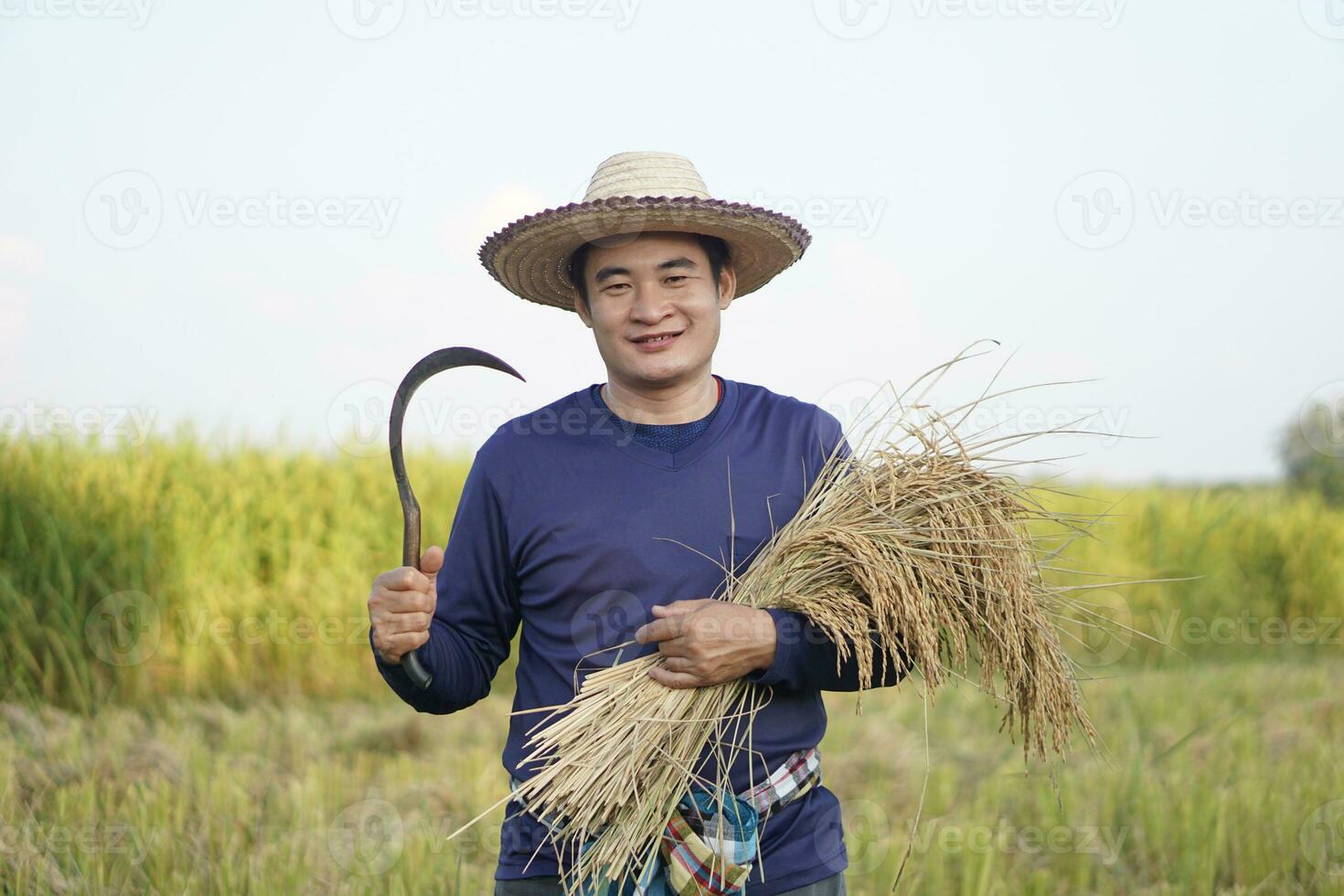 Handsome Asian man wears hat, blue shirt is at paddy field, holds sickle and harvest rice.  Concept, agriculture occupation, farmer grow organic rice. photo
