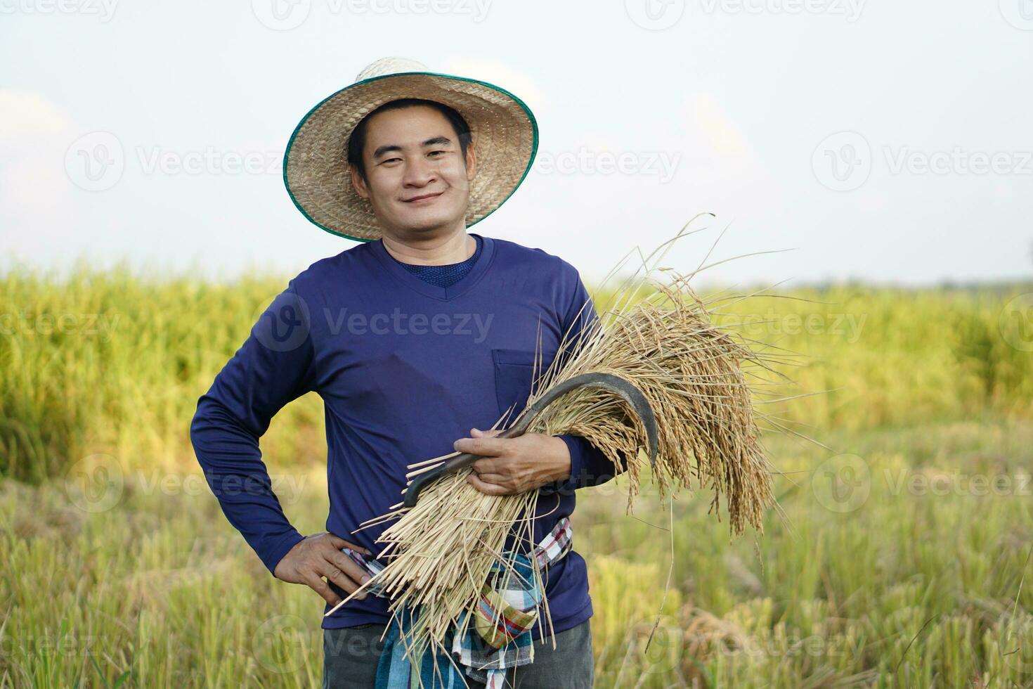 Asian man farmer is at paddy field, wears hat, blue shirt, holds harvested rice and sickle, put hand on hip, confident. Concept, agriculture occupation, farmer grow organic rice. photo