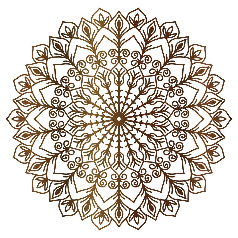 Mandala pattern abstract floral ornament vector