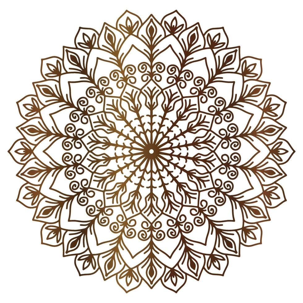 Mandala pattern abstract floral ornament vector