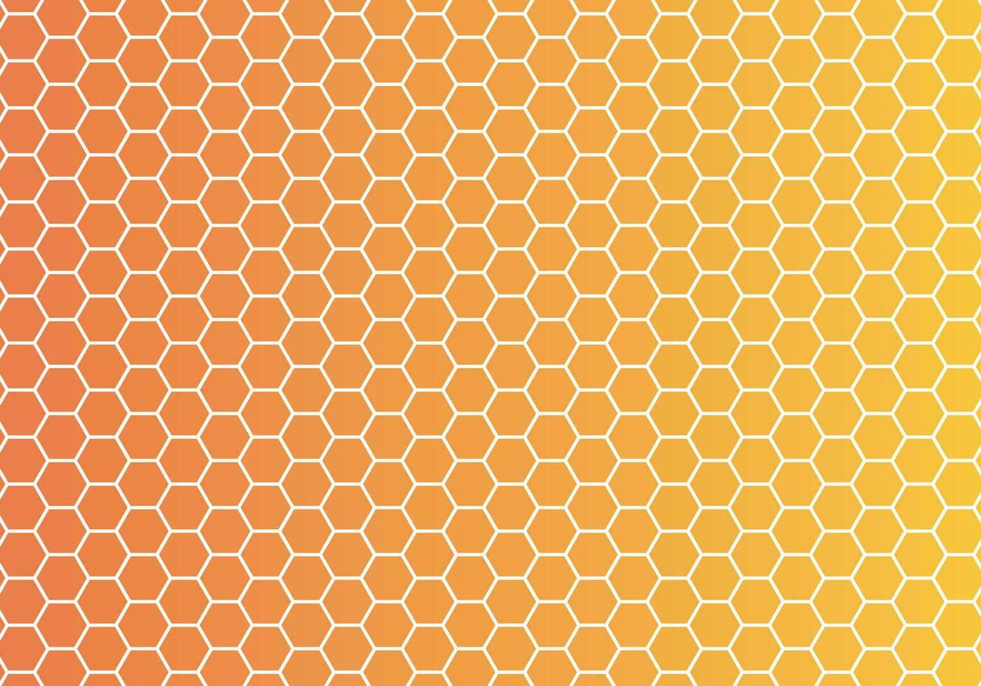 Hexagone Background The Illustration vector